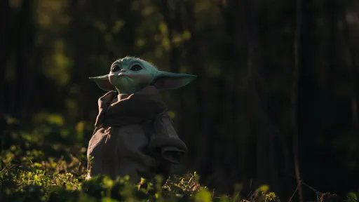 young Groku from Star Wars is sitting in the forest
